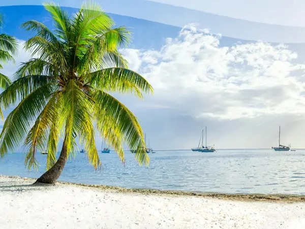 Die Faszinierende Karibik